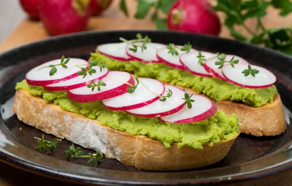 Picture plate, sandwiches, radishes