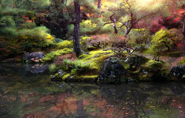 Picture autumn, trees, landscape, nature, pond, Park, stones, Japan