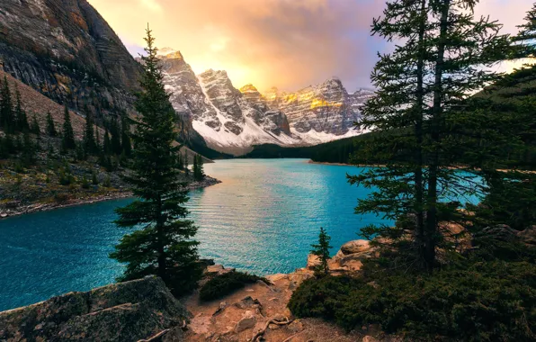 Picture trees, mountains, lake, ate, Canada, Albert, Banff National Park, Alberta, Canada, Moraine Lake, Valley of …