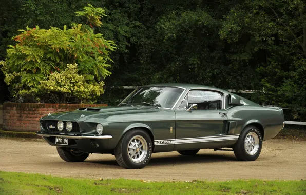 Picture Ford Mustang, 1967, Muscle Car, Shelby GT350