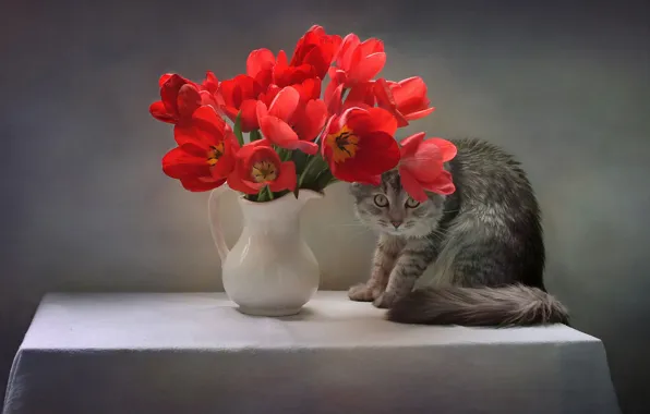 Picture cat, cat, flowers, pose, table, animal, tulips, pitcher, tablecloth, Kovaleva Svetlana, Svetlana Kovaleva