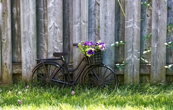 Picture wallpaper, grass, bicycle, bike, wood, flowers, basket, lawn, vintage style