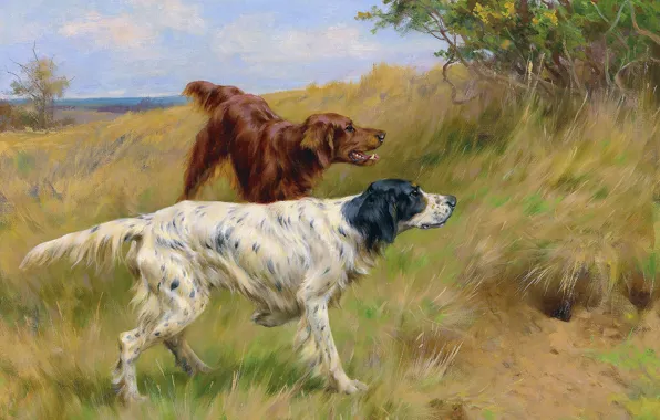 Picture Grass, Trees, Dogs, Two, Thomas Blinks, Setters, Томас Блинкс, Сеттеры