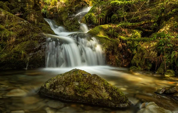 Picture stream, stone, England, waterfall, moss, river, cascade, Wales
