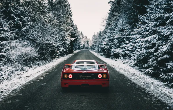 Picture F40, Winter, Trees