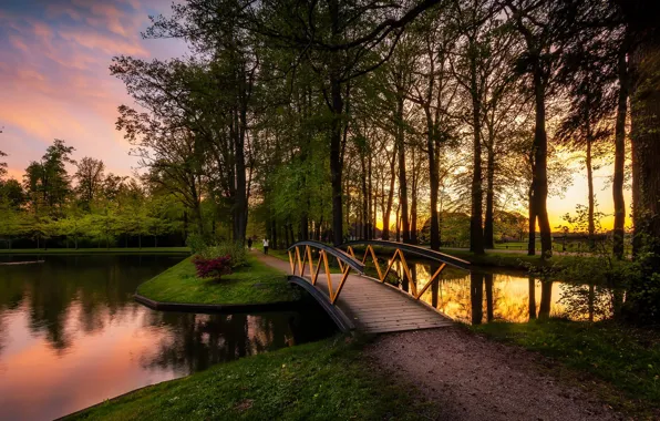 Picture trees, landscape, sunset, nature, pond, track, Netherlands, the bridge, Holland