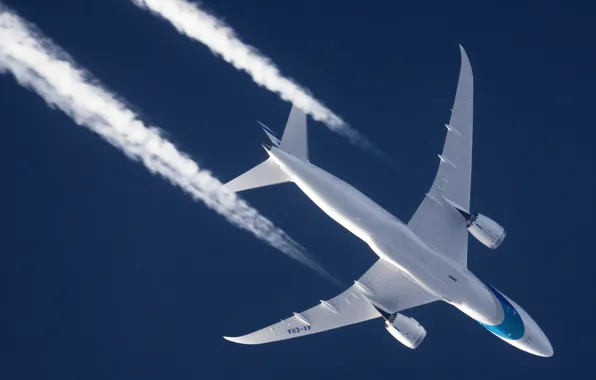 Picture The plane, Boeing, Dreamliner, Airliner, In flight, Israel Airlines, Contrail, Boeing 787-8 Dreamliner