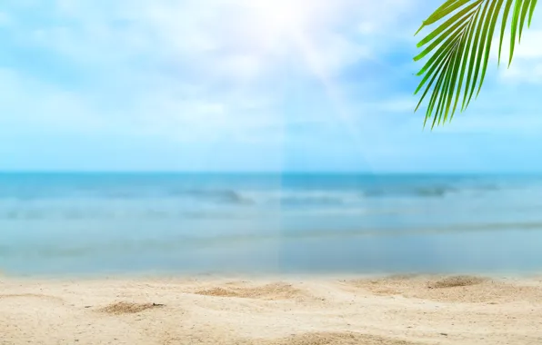 Picture sand, sea, beach, summer, the sky, the sun, palm trees, shore, summer, beach, sea, seascape, …