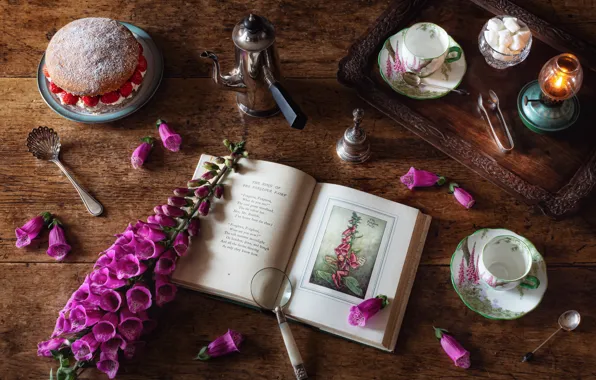 Picture flower, style, Cup, book, still life, magnifier, cake, tray, coffee pot, digitalis, digitalis