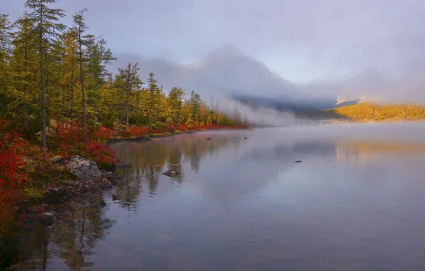 Picture autumn, forest, landscape, mountains, nature, fog, shore, Vladimir Ryabkov, Kolyma, the lake of Jack London