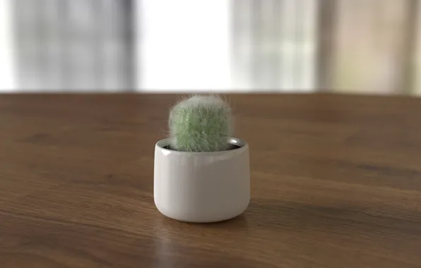 Picture Minimalism, Pot, Cactus, cactus, rendering, cactus in a pot