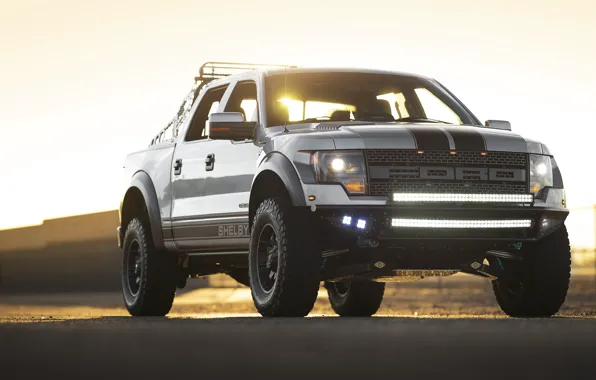 Picture Shelby, Pickup, 2013, American Car, Ford F-150, Low 700