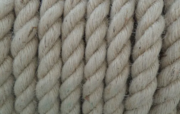 Picture grey, background, texture, rope, ropes, fiber, jute