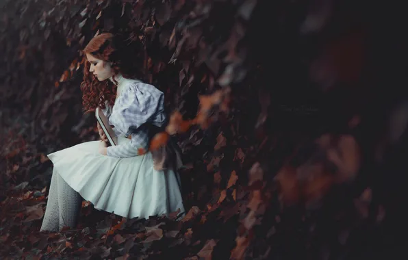 Picture autumn, girl, pose, mood, dress, book, red, redhead, ivy, Violeta