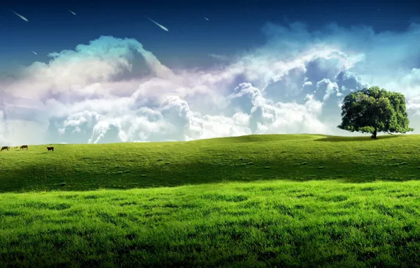 Wallpaper Sky, Grass, Green, Landscape, Tree images for desktop, section  пейзажи - download
