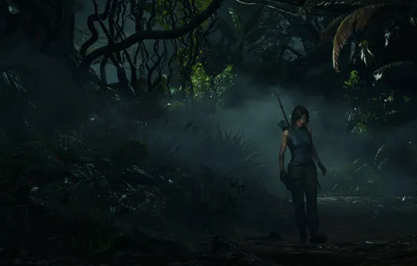 Picture fog, bow, dirt, jungle, Lara Croft, lara croft, fern, jungle, adventure, bow, Liana, mist, adventure, …
