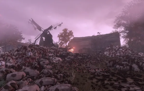 Picture mill, rats, corpses, a plague tale: innocence