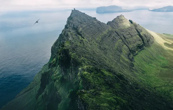 Picture Islands, mountains, rocks, bird, Faroe Islands