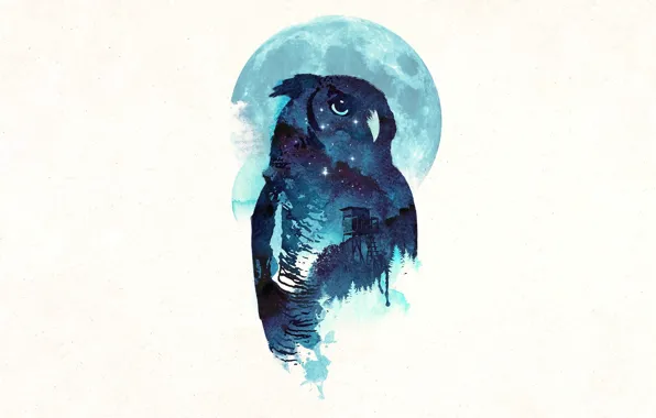 Picture Owl, Midnight, Robert Farkas