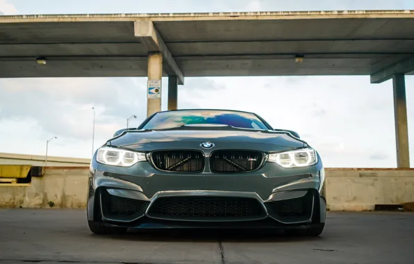 Picture BMW, Light, Front, Face, F82, Nardo