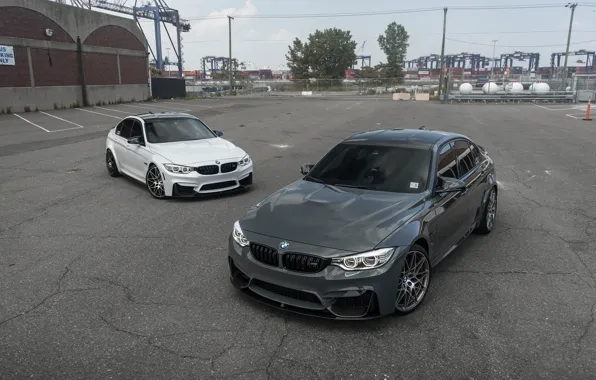 Picture BMW, White, Grey, F80, LED, Versus