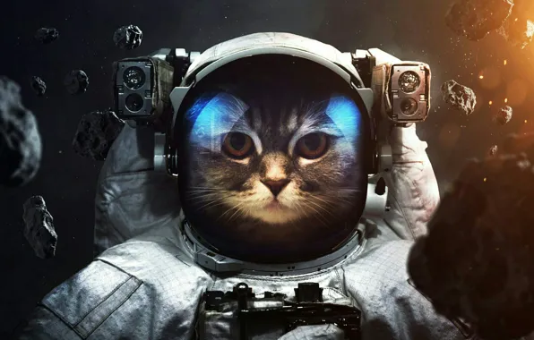 Picture cat, space, astronaut, asteroid, costume