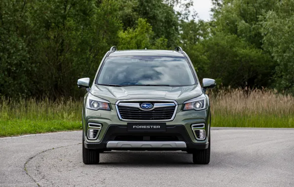 Picture greens, plants, Subaru, front, crossover, Forester, 2019