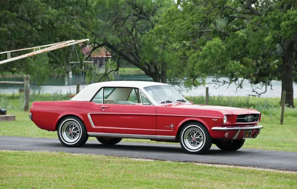 Picture Ford Mustang, 1964, Hardtop, Classic Car