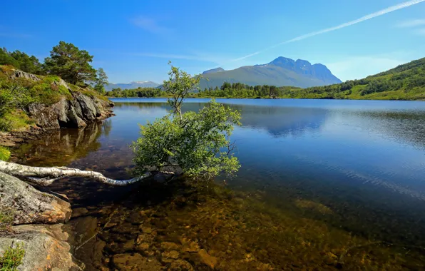 Picture mountains, lake, tree, Norway, Romsdal