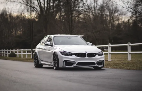 Picture BMW, White, F80, Sight, Hedge
