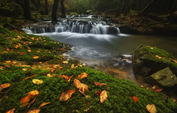 Picture autumn, forest, leaves, water, stones, waterfall, stream, river, waterfalls, pond, thresholds