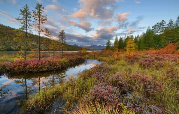 Picture autumn, grass, landscape, mountains, nature, forest, Kolyma, Maxim Evdokimov, the lake of Jack London