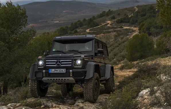 Picture black, hills, vegetation, Mercedes-Benz, SUV, 4x4, G500, G-Class, 2015, G 500, 4x4², V8 biturbo