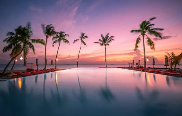 Picture sunset, tropics, palm trees, the ocean, pool, Maldives, The Indian ocean, Indian Ocean, Malediwy