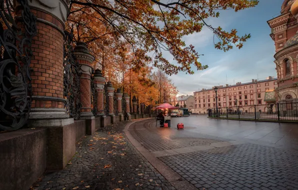 Picture autumn, branches, the city, Park, street, building, home, fence, Peter, Saint Petersburg, temple, bridge, The …