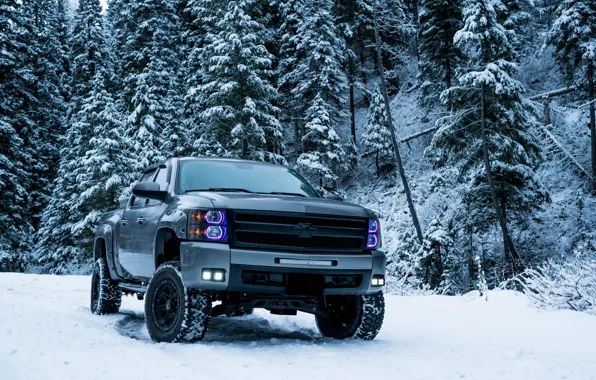 Picture winter, snow, trees, Chevrolet, SUV, trees, pickup, winter, snow, SUV, pickup truck