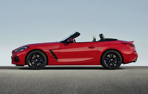 Picture red, BMW, profile, Roadster, BMW Z4, First Edition, M40i, Z4, 2019, G29
