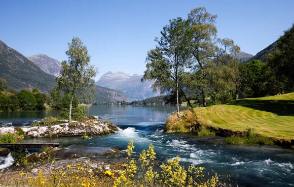 Picture trees, mountains, lake, Norway, Norway, Stryn, Nordfjord, Stryn, The nordfjord