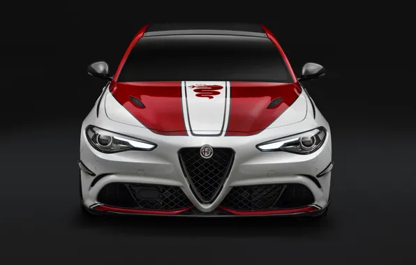 Picture Alfa Romeo, Four-leaf clover, Giulia, 2019, Alfa Romeo Racing