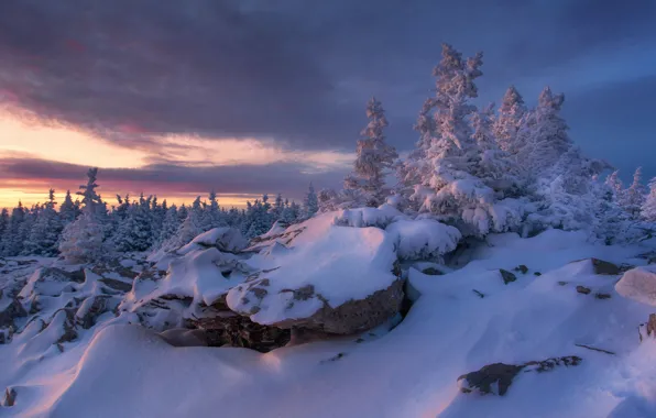 Picture winter, snow, trees, Russia, South Ural, Chelyabinsk oblast, Tatiana Biryukova, Ridge Zyuratkul