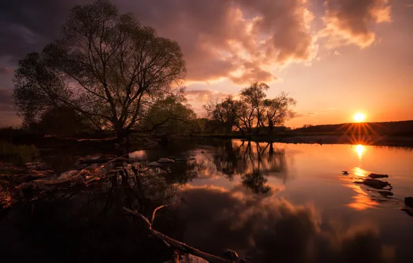 Picture sunset, river, tree