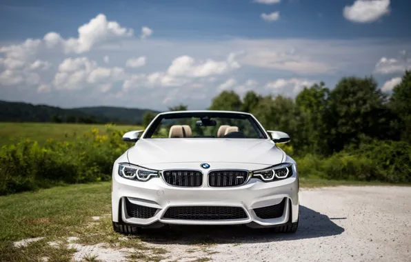 Picture BMW, White, Convertible, Face, F82