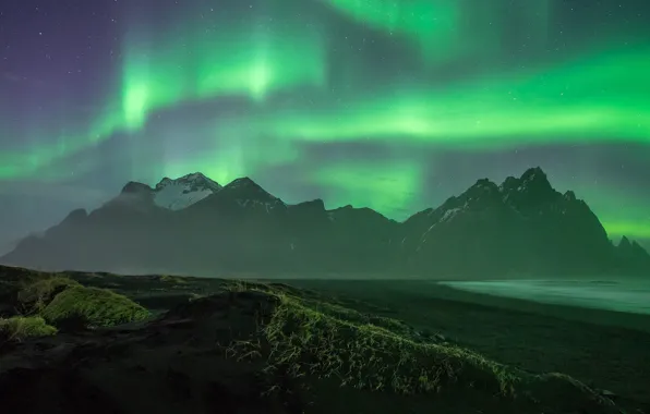 Picture sea, algae, landscape, mountains, night, fog, rocks, shore, vegetation, tops, Northern lights, Iceland, polar, the …