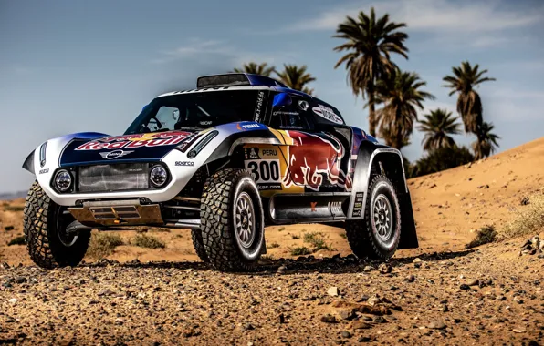 Picture Sand, Auto, Mini, Sport, Machine, Car, 300, Rally, Dakar, Dakar, Rally, Buggy, Buggy, X-Raid Team, …