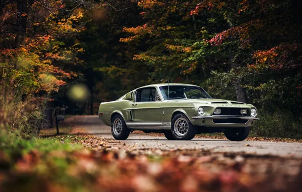 Picture Shelby, GT500, Green