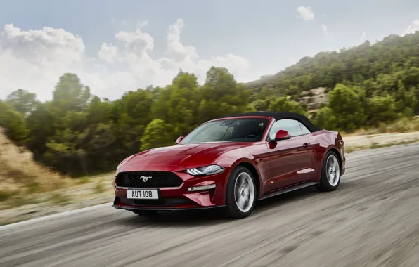 Picture Ford, convertible, 2018, dark red, the soft top, Mustang Convertible
