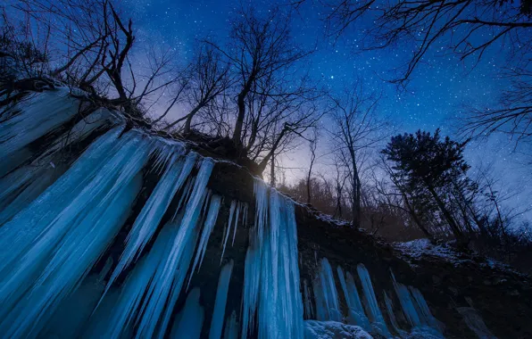 Picture Japan, trees, nature, night, winter, snow, stars, waterfall, frozen water