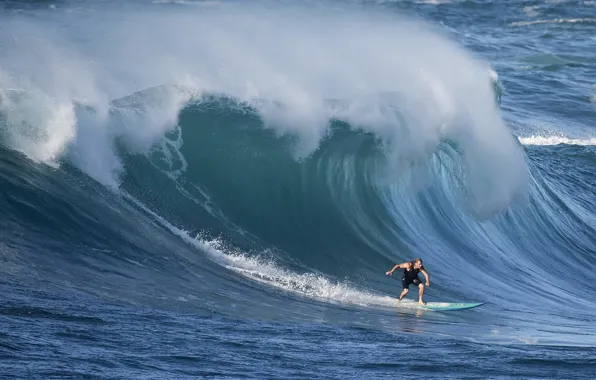 Picture wave, surfer, wave, surfer, David H Yang