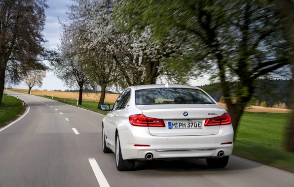 Picture white, trees, BMW, sedan, rear view, hybrid, 5, four-door, 2017, 5-series, G30, 530e iPerformance