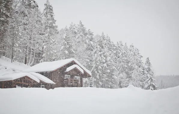 Picture winter, snow, tale, house, journey, Belokurikha, sinayskaya, donggala